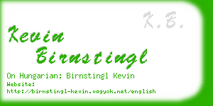 kevin birnstingl business card